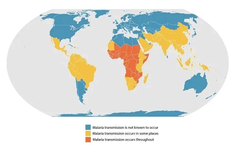  全国疟疾日丨疟nüè疾与艾滋病、结核病齐名，全球每年几十万人因它死亡 