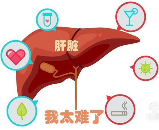 肝功能异常有哪些症状|肝功能异常的症状与对策-新华医院健康指南