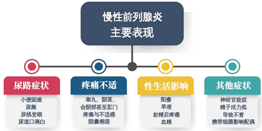 前列腺炎吃什么药效果好见效快|川北医学院附属成都新华医院教你如何应对前列腺炎