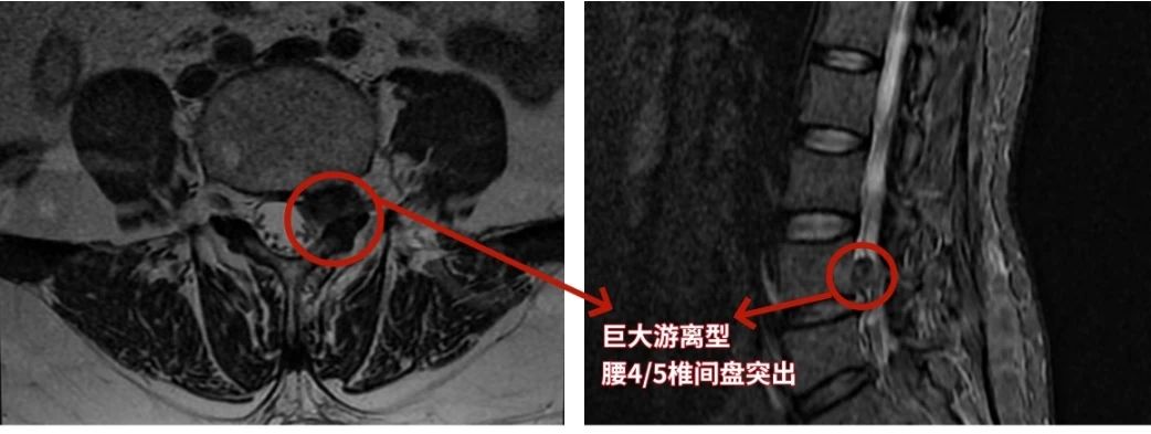 微信图片_20240618091849.jpg